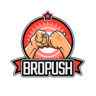 BroPush